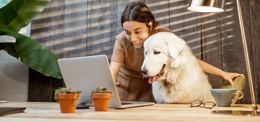 mujer trabajando en la computadora junto a su perro